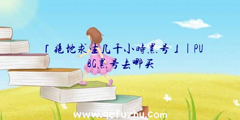 「绝地求生几千小时黑号」|PUBG黑号去哪买